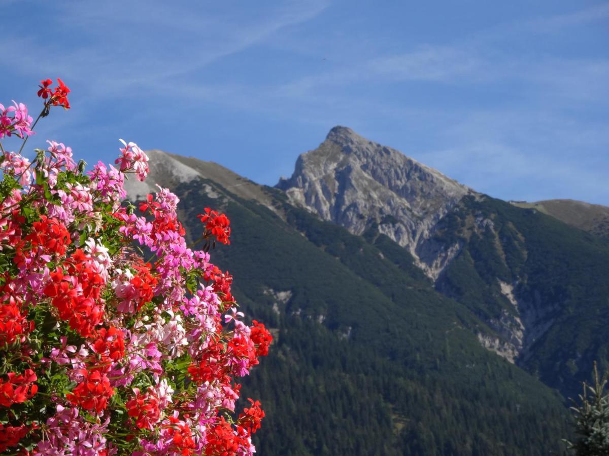 Haus Schoenblick Seefeld in Tirol Exteriör bild